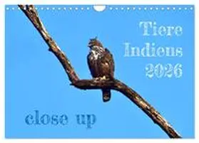 Bergermann / CALVENDO |  Tiere Indiens close up (Wandkalender 2026 DIN A4 quer), CALVENDO Monatskalender | Sonstiges |  Sack Fachmedien