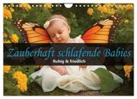 CALVENDO / Wrede |  Zauberhaft schlafende Babies - Ruhig und friedlich (Wandkalender 2026 DIN A4 quer), CALVENDO Monatskalender | Sonstiges |  Sack Fachmedien