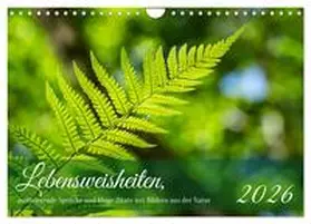 Rohde / CALVENDO |  Lebensweisheiten, motivierende Sprüche und kluge Zitate mit Bildern der Natur (Wandkalender 2026 DIN A4 quer), CALVENDO Monatskalender | Sonstiges |  Sack Fachmedien
