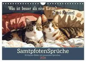 Löwer / CALVENDO |  Samtpfotensprüche (Wandkalender 2026 DIN A4 quer), CALVENDO Monatskalender | Sonstiges |  Sack Fachmedien