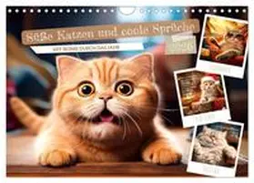 Viola / CALVENDO |  Süße Katzen und coole Sprüche (Wandkalender 2026 DIN A4 quer), CALVENDO Monatskalender | Sonstiges |  Sack Fachmedien