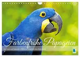 CALVENDO |  Farbenfrohe Papageien (Wandkalender 2026 DIN A4 quer), CALVENDO Monatskalender | Sonstiges |  Sack Fachmedien