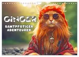 Brunner-Klaus / CALVENDO |  Ginger - Samtpfotiger Abenteurer (Wandkalender 2026 DIN A4 quer), CALVENDO Monatskalender | Sonstiges |  Sack Fachmedien