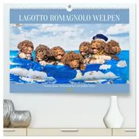 Starick / CALVENDO |  Lagotto Romagnolo Welpen - Sieben kleine Weltentdecker auf großer Fahrt (hochwertiger Premium Wandkalender 2026 DIN A2 quer), Kunstdruck in Hochglanz | Sonstiges |  Sack Fachmedien