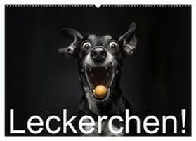 Moers / CALVENDO |  Leckerchen! (Wandkalender 2026 DIN A2 quer), CALVENDO Monatskalender | Sonstiges |  Sack Fachmedien