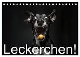 Moers / CALVENDO |  Leckerchen! (Tischkalender 2026 DIN A5 quer), CALVENDO Monatskalender | Sonstiges |  Sack Fachmedien