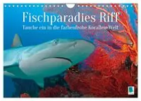 CALVENDO |  Fischparadies Riff (Wandkalender 2026 DIN A4 quer), CALVENDO Monatskalender | Sonstiges |  Sack Fachmedien