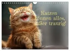 CALVENDO / Rolf Skrypzak, KI, |  Katzen können alles, außer traurig. (Wandkalender 2026 DIN A4 quer), CALVENDO Monatskalender | Sonstiges |  Sack Fachmedien