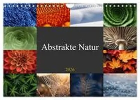 Michel / CALVENDO |  Abstrakte Natur (Wandkalender 2026 DIN A4 quer), CALVENDO Monatskalender | Sonstiges |  Sack Fachmedien