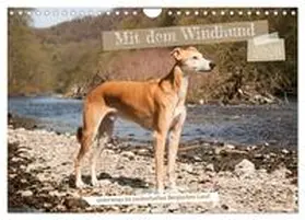 Bölts / CALVENDO |  Mit dem Windhund unterwegs im zauberhaften Bergischen Land (Wandkalender 2026 DIN A4 quer), CALVENDO Monatskalender | Sonstiges |  Sack Fachmedien