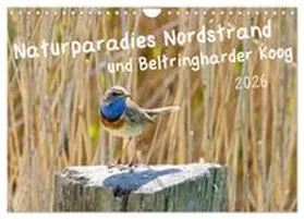 CALVENDO / Voss |  Naturparadies Nordstrand und Beltringharder Koog (Wandkalender 2026 DIN A4 quer), CALVENDO Monatskalender | Sonstiges |  Sack Fachmedien