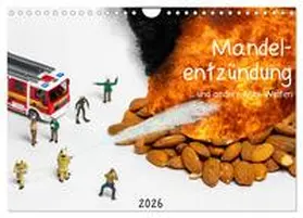 Bogumil / CALVENDO |  Mandelentzündung ... und andere Mini-Welten (Wandkalender 2026 DIN A4 quer), CALVENDO Monatskalender | Sonstiges |  Sack Fachmedien