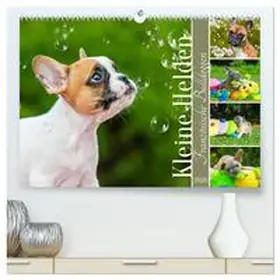 Starick / CALVENDO |  Kleine Helden - Französische Bulldoggen (hochwertiger Premium Wandkalender 2026 DIN A2 quer), Kunstdruck in Hochglanz | Sonstiges |  Sack Fachmedien