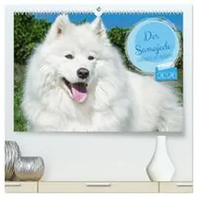 Starick / CALVENDO |  Der Samojede - Schönheit des Nordens (hochwertiger Premium Wandkalender 2026 DIN A2 quer), Kunstdruck in Hochglanz | Sonstiges |  Sack Fachmedien