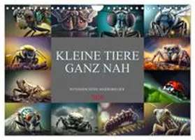 CALVENDO / Meutzner |  Kleine Tiere ganz nah (Wandkalender 2026 DIN A4 quer), CALVENDO Monatskalender | Sonstiges |  Sack Fachmedien