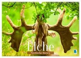 CALVENDO |  Elche: Nordische Riesen (Wandkalender 2026 DIN A3 quer), CALVENDO Monatskalender | Sonstiges |  Sack Fachmedien