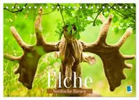 CALVENDO |  Elche: Nordische Riesen (Tischkalender 2026 DIN A5 quer), CALVENDO Monatskalender | Sonstiges |  Sack Fachmedien