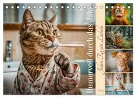 Gierok-Latniak / CALVENDO |  Humorvoll durch das Jahr (Tischkalender 2026 DIN A5 quer), CALVENDO Monatskalender | Sonstiges |  Sack Fachmedien