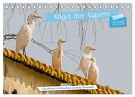 CALVENDO / Voss |  Vögel der Algarve (Tischkalender 2026 DIN A5 quer), CALVENDO Monatskalender | Sonstiges |  Sack Fachmedien