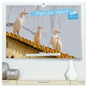 CALVENDO / Voss |  Vögel der Algarve (hochwertiger Premium Wandkalender 2026 DIN A2 quer), Kunstdruck in Hochglanz | Sonstiges |  Sack Fachmedien