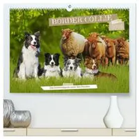 Starick / CALVENDO |  Border Collie - Das Universalgenie unter den Hunden (hochwertiger Premium Wandkalender 2026 DIN A2 quer), Kunstdruck in Hochglanz | Sonstiges |  Sack Fachmedien