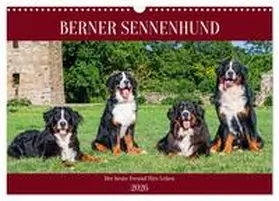 Starick / CALVENDO |  Berner Sennenhund - Der beste Freund fürs Leben (Wandkalender 2026 DIN A3 quer), CALVENDO Monatskalender | Sonstiges |  Sack Fachmedien