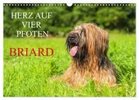 Starick / CALVENDO |  Herz auf vier Pfoten - Briard (Wandkalender 2026 DIN A3 quer), CALVENDO Monatskalender | Sonstiges |  Sack Fachmedien