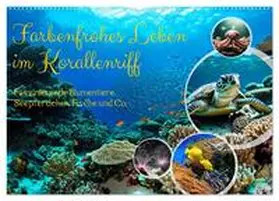 Kleemann / CALVENDO |  Farbenfrohes Leben im Korallenriff (Wandkalender 2026 DIN A2 quer), CALVENDO Monatskalender | Sonstiges |  Sack Fachmedien