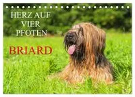 Starick / CALVENDO |  Herz auf vier Pfoten - Briard (Tischkalender 2026 DIN A5 quer), CALVENDO Monatskalender | Sonstiges |  Sack Fachmedien