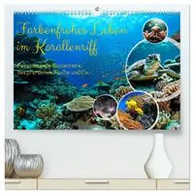 Kleemann / CALVENDO |  Farbenfrohes Leben im Korallenriff (hochwertiger Premium Wandkalender 2026 DIN A2 quer), Kunstdruck in Hochglanz | Sonstiges |  Sack Fachmedien