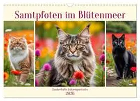 Kleemann / CALVENDO |  Samtpfoten im Blütenmeer (Wandkalender 2026 DIN A3 quer), CALVENDO Monatskalender | Sonstiges |  Sack Fachmedien