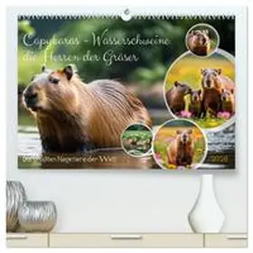 Kleemann / CALVENDO |  Capybaras - Wasserschweine die Herren der Gräser (hochwertiger Premium Wandkalender 2026 DIN A2 quer), Kunstdruck in Hochglanz | Sonstiges |  Sack Fachmedien