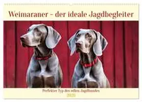 Kleemann / CALVENDO |  Weimaraner - der ideale Jagdbegleiter (Wandkalender 2026 DIN A2 quer), CALVENDO Monatskalender | Sonstiges |  Sack Fachmedien