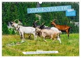 RenaldoCaumont / CALVENDO |  Ziegenfreude (Wandkalender 2026 DIN A3 quer), CALVENDO Monatskalender | Sonstiges |  Sack Fachmedien