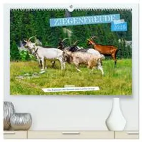 RenaldoCaumont / CALVENDO |  Ziegenfreude (hochwertiger Premium Wandkalender 2026 DIN A2 quer), Kunstdruck in Hochglanz | Sonstiges |  Sack Fachmedien