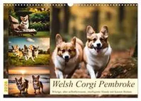Kleemann / CALVENDO |  Welsh Corgi Pembroke (Wandkalender 2026 DIN A3 quer), CALVENDO Monatskalender | Sonstiges |  Sack Fachmedien