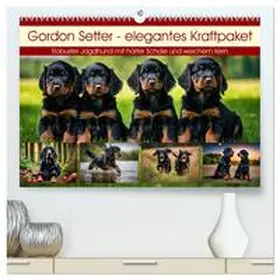 Kleemann / CALVENDO |  Gordon Setter - elegantes Kraftpaket (hochwertiger Premium Wandkalender 2026 DIN A2 quer), Kunstdruck in Hochglanz | Sonstiges |  Sack Fachmedien