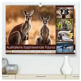 Kleemann / CALVENDO |  Australiens faszinierende Fauna (hochwertiger Premium Wandkalender 2026 DIN A2 quer), Kunstdruck in Hochglanz | Sonstiges |  Sack Fachmedien