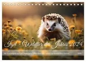 Kleemann / CALVENDO |  Igel - Wildtier des Jahres 2024 (Tischkalender 2026 DIN A5 quer), CALVENDO Monatskalender | Sonstiges |  Sack Fachmedien