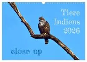Bergermann / CALVENDO |  Tiere Indiens close up (Wandkalender 2026 DIN A3 quer), CALVENDO Monatskalender | Sonstiges |  Sack Fachmedien