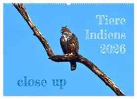 Bergermann / CALVENDO |  Tiere Indiens close up (Wandkalender 2026 DIN A2 quer), CALVENDO Monatskalender | Sonstiges |  Sack Fachmedien