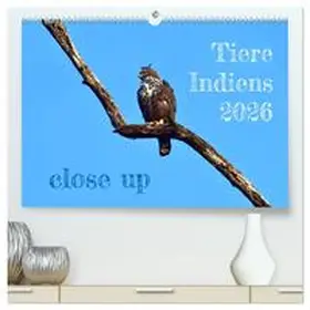 Bergermann / CALVENDO |  Tiere Indiens close up (hochwertiger Premium Wandkalender 2026 DIN A2 quer), Kunstdruck in Hochglanz | Sonstiges |  Sack Fachmedien