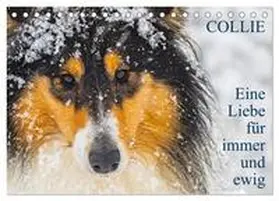Starick / CALVENDO |  Collies - Eine Liebe für immer und ewig (Tischkalender 2026 DIN A5 quer), CALVENDO Monatskalender | Sonstiges |  Sack Fachmedien