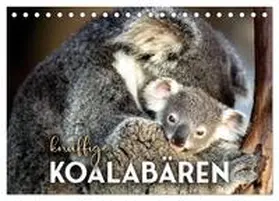 SF / CALVENDO |  Knuffige Koalabären (Tischkalender 2026 DIN A5 quer), CALVENDO Monatskalender | Sonstiges |  Sack Fachmedien