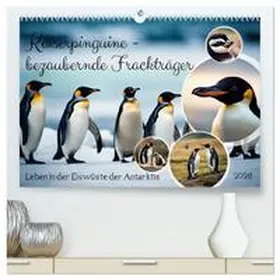 Kleemann / CALVENDO |  Kaiserpinguine - bezaubernde Frackträger (hochwertiger Premium Wandkalender 2026 DIN A2 quer), Kunstdruck in Hochglanz | Sonstiges |  Sack Fachmedien