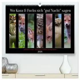 CALVENDO |  Wo Kauz & Fuchs sich "gut`Nacht" sagen (hochwertiger Premium Wandkalender 2026 DIN A2 quer), Kunstdruck in Hochglanz | Sonstiges |  Sack Fachmedien