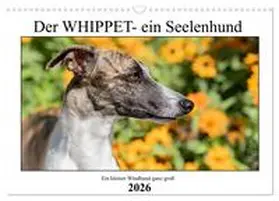 Hofmann / CALVENDO |  Der Whippet - ein Seelenhund (Wandkalender 2026 DIN A3 quer), CALVENDO Monatskalender | Sonstiges |  Sack Fachmedien