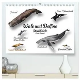 Thomas / CALVENDO |  Wale und Delfine Steckbriefe (hochwertiger Premium Wandkalender 2026 DIN A2 quer), Kunstdruck in Hochglanz | Sonstiges |  Sack Fachmedien