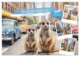 Hinz / CALVENDO |  Erdmännchen in New York City (Wandkalender 2026 DIN A2 quer), CALVENDO Monatskalender | Sonstiges |  Sack Fachmedien