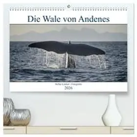 Leimer / CALVENDO |  Die Wale von Andenes (hochwertiger Premium Wandkalender 2026 DIN A2 quer), Kunstdruck in Hochglanz | Sonstiges |  Sack Fachmedien